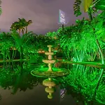 Dreams Motel (Adults Only)